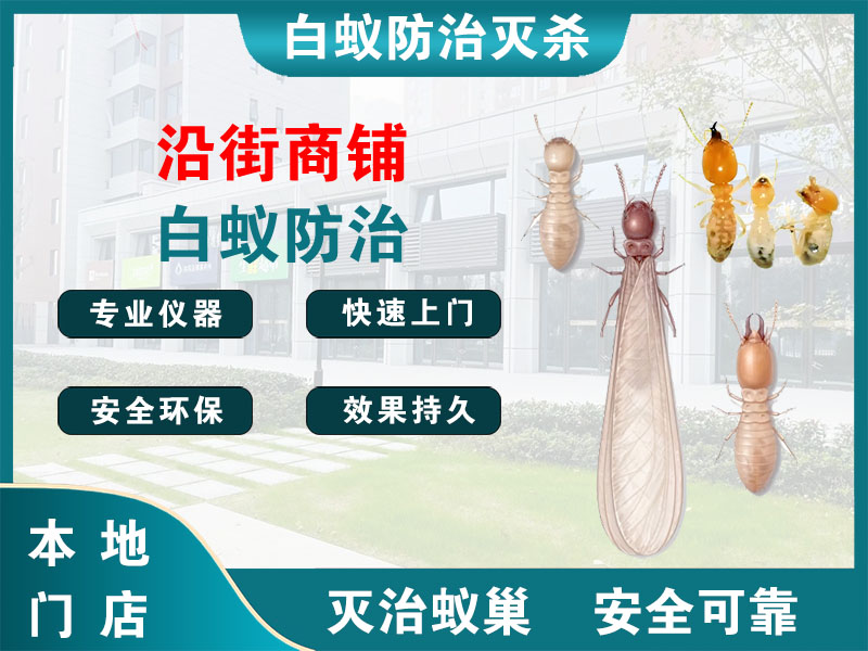 磐安县沿街商铺白蚁防治