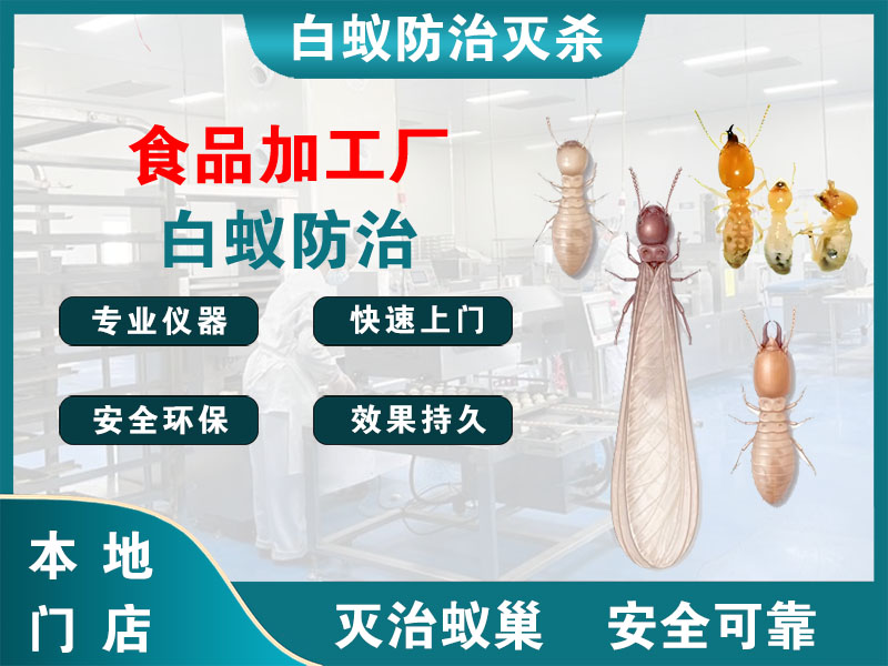 磐安县食品加工厂白蚁防治