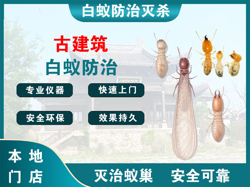 磐安县古建筑白蚁防治