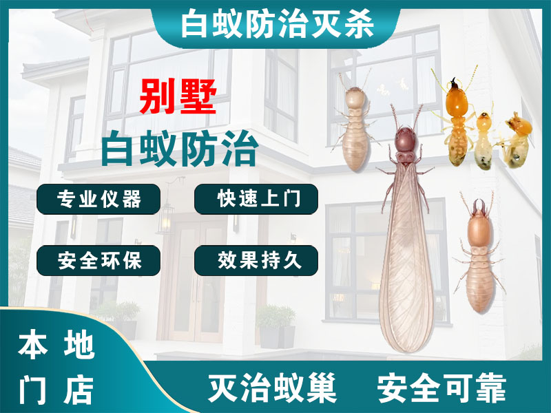 磐安县别墅白蚁防治